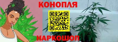 крисы Усть-Илимск