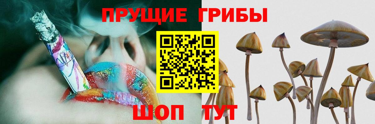 Галлюциногенные грибы Cubensis  дарнет шоп  Вход с VPN  Новодвинск  Галлюциногенные грибы GOLDEN TEACHER 